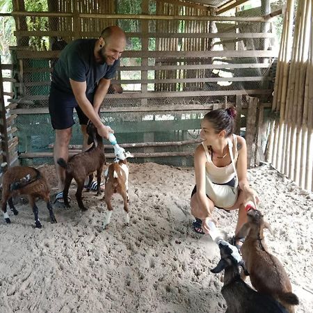 Yaoisland Resort And Farm Ko Yao Dış mekan fotoğraf
