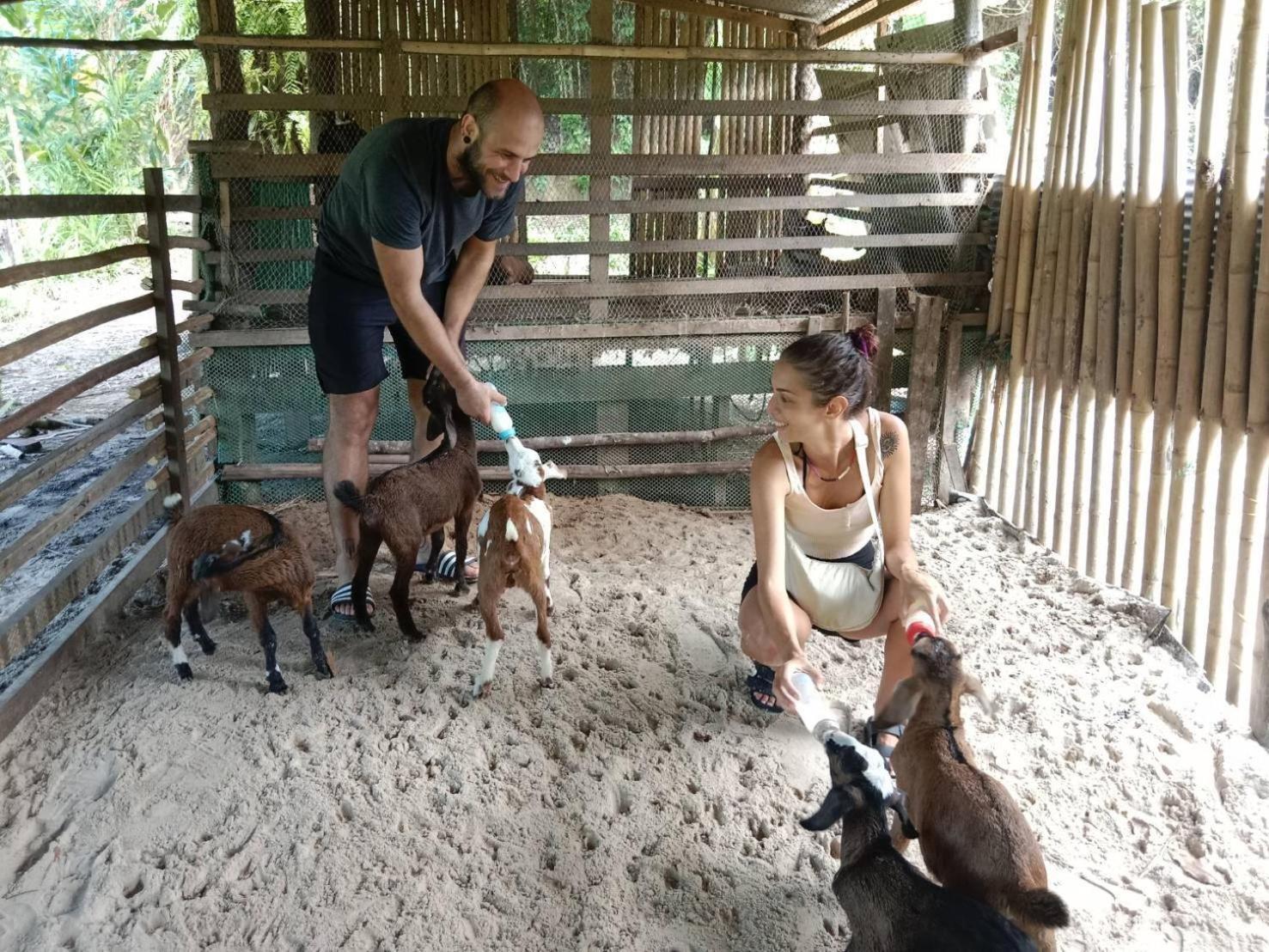 Yaoisland Resort And Farm Ko Yao Dış mekan fotoğraf