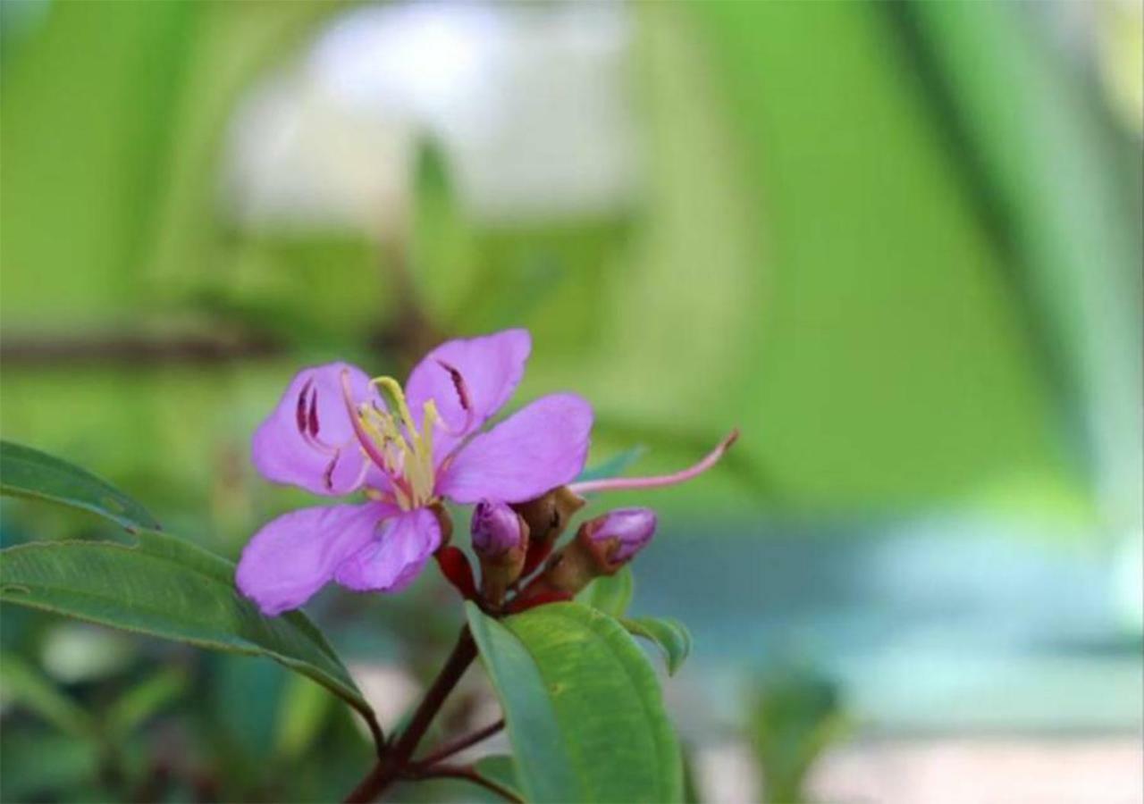 Yaoisland Resort And Farm Ko Yao Dış mekan fotoğraf